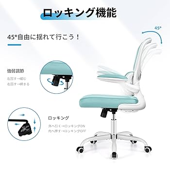 balans Easy Sokkamoka チェア ミントグリーン Amazon.co.jp: バランスラボ バランスイージー 通常フレーム